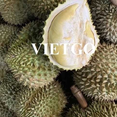 Cơ hội hợp tác xuất khẩu sầu riêng Monthong sang thị trường Ý