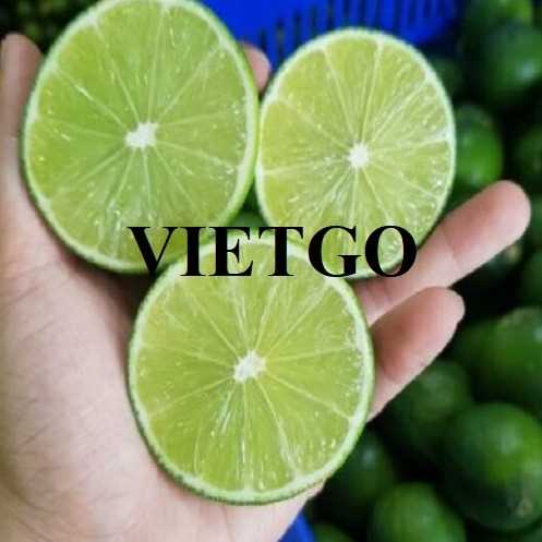 Cơ hội giao thương xuất khẩu chanh sang thị trường Maldives