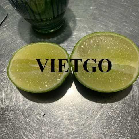 Cơ hội xuất khẩu chanh xanh không hạt sang thị trường UAE