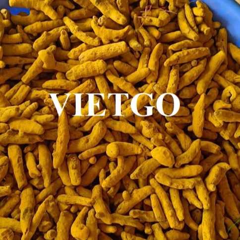 Cơ hội xuất khẩu nghệ khô nguyên củ đến thị trường Ấn Độ