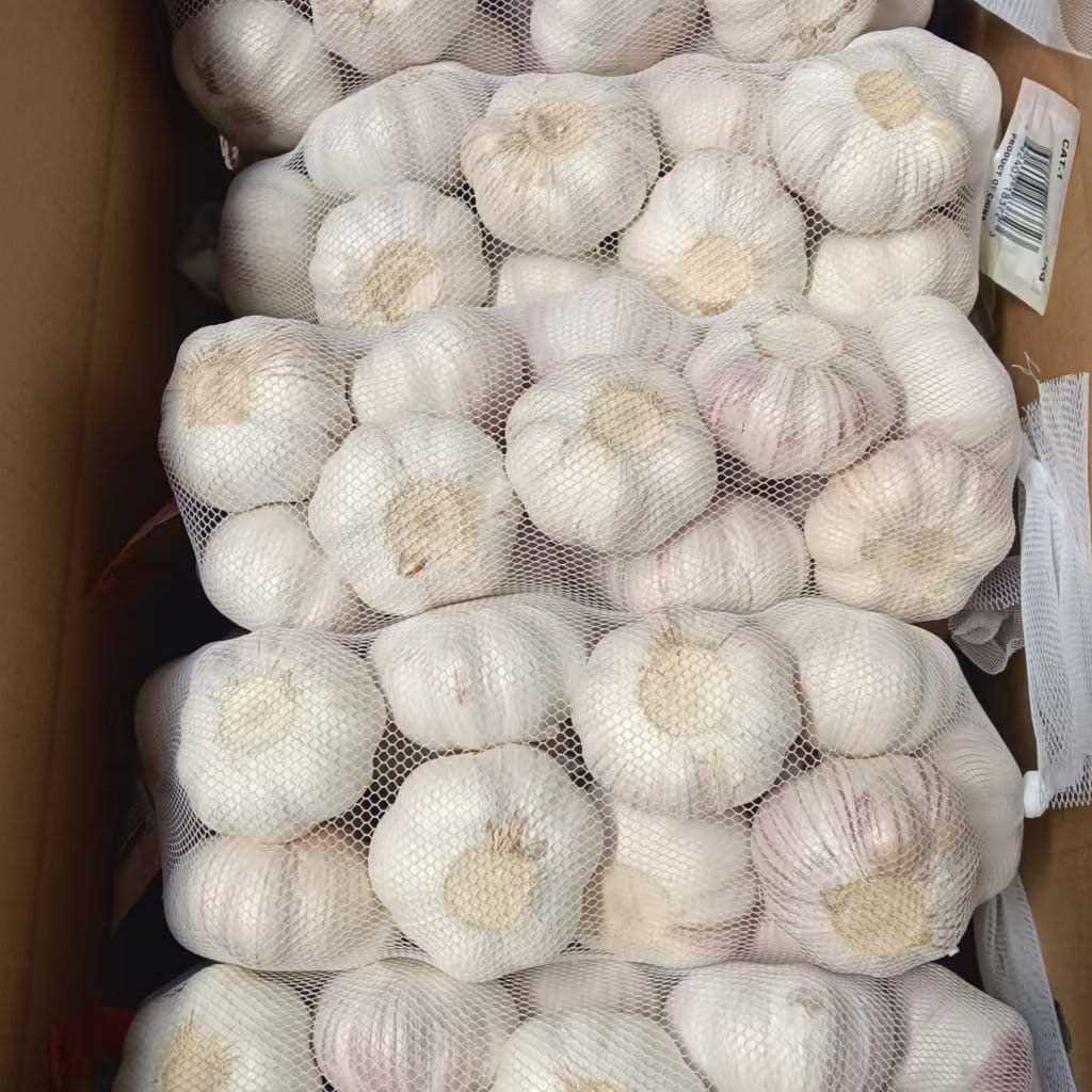 I want to buy garlic
