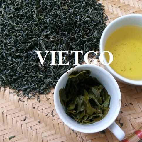 Cơ hội xuất khẩu chè xanh sang thị trường Ấn Độ