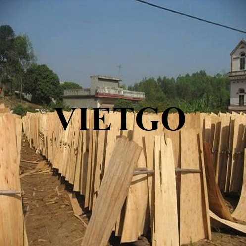 Thương vụ xuất khẩu ván bóc sang thị trường Ấn Độ và Trung Quốc