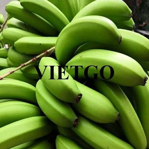 Cơ hội hợp tác xuất khẩu chuối đến thị trường Iran