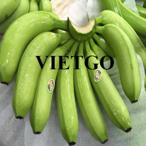 Cơ hội hợp tác xuất khẩu chuối đến thị trường Turkmenistan