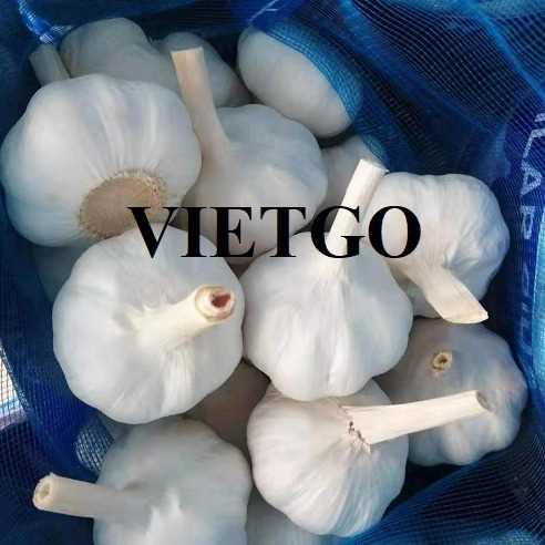 Cơ hội xuất khẩu tỏi đến thị trường Bangladesh