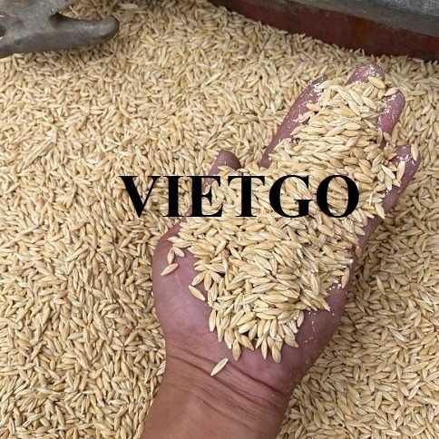 Cơ hội hợp tác xuất khẩu lúa mạch đến thị trường Iran