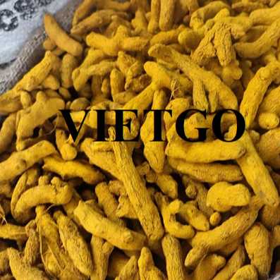 Cơ hội hợp tác xuất khẩu nghệ đến thị trường Hồng Kông  