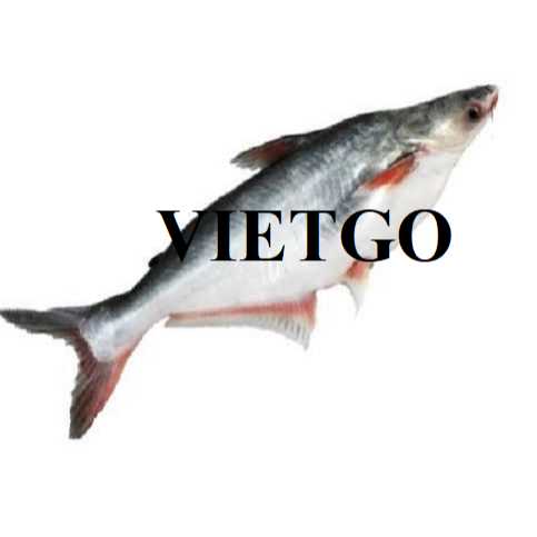 Cơ hội xuất khẩu cá tra sang thị trường Brazil