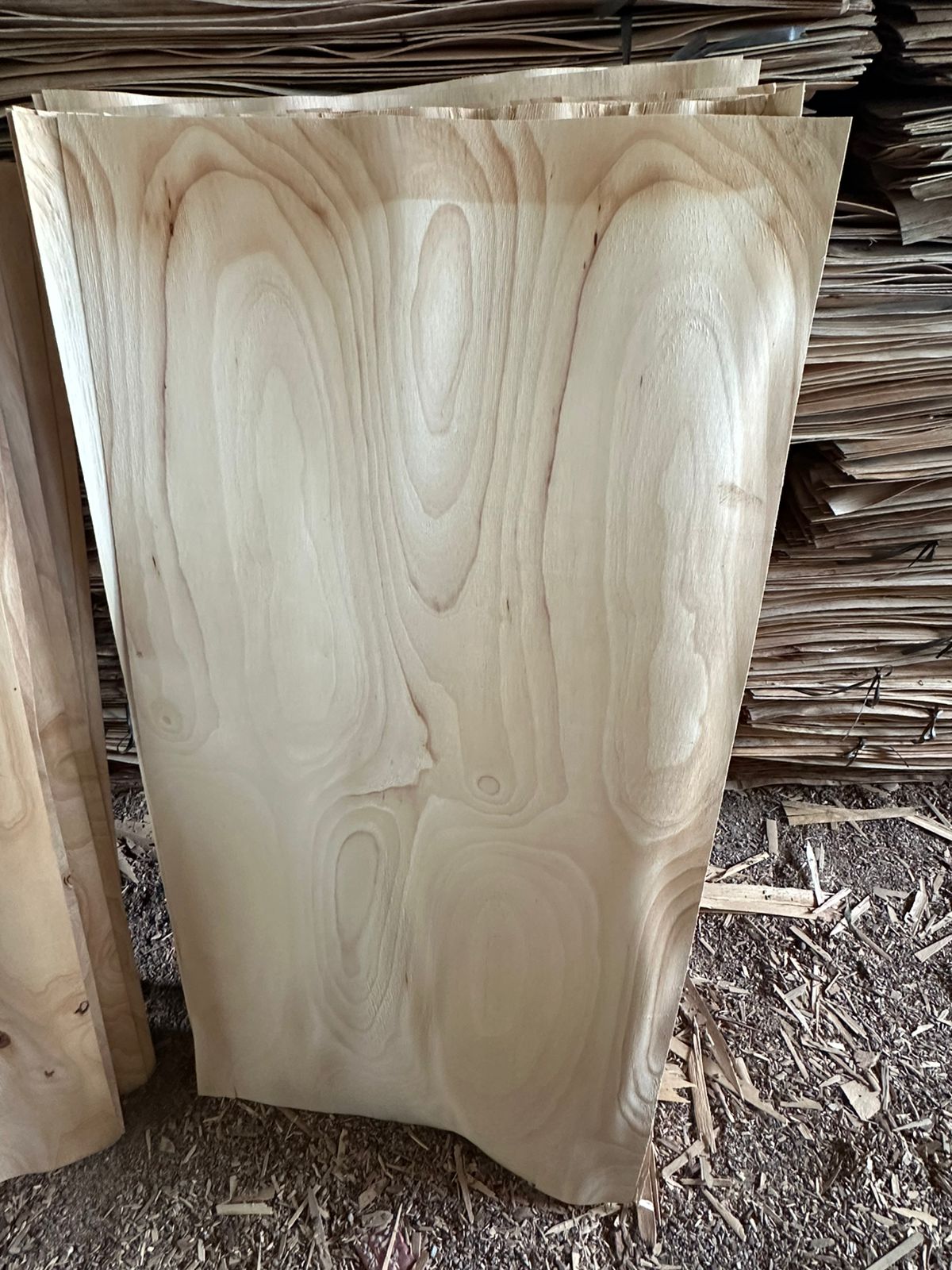 Tìm đơn vị FWD cho mặt hàng ván cao su