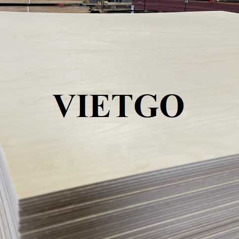 Thương vụ xuất khẩu gỗ dán sang thị trường Ấn Độ