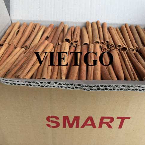 Cơ hội hợp tác xuất khẩu quế đến thị trường Mỹ và Ả Rập Xê Út 