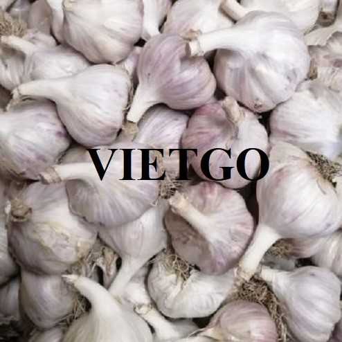 Cơ hội xuất khẩu tỏi đến thị trường Bangladesh