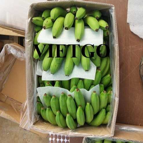 Cơ hội xuất khẩu chuối xanh Cavendish sang thị trường Georgia 