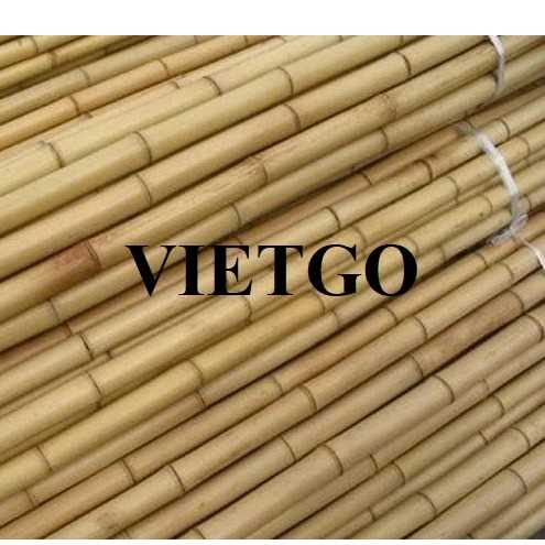 Thương vụ xuất khẩu sản phẩm gậy tre sang thị trường Thổ Nhĩ Kỳ