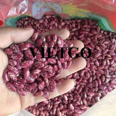 Cơ hội xuất khẩu đậu thận đến thị trường UAE