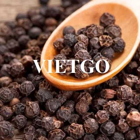 Thương vụ xuất khẩu hạt tiêu đen sang thị trường Mỹ