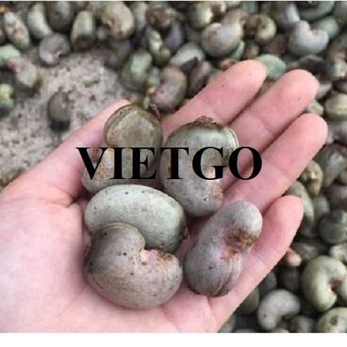 Cơ hội xuất khẩu hạt điều sang thị trường Ấn Độ