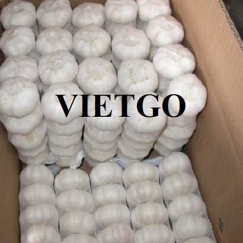 Cơ hội hợp tác xuất khẩu tỏi đến thị trường Israel