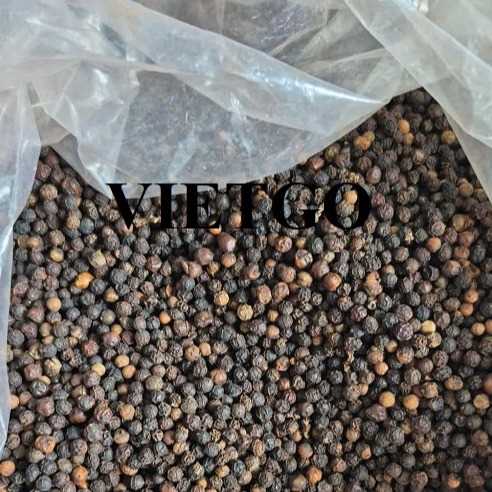 Cơ hội xuất khẩu hạt tiêu đen cùng vị khách hàng người Ấn Độ