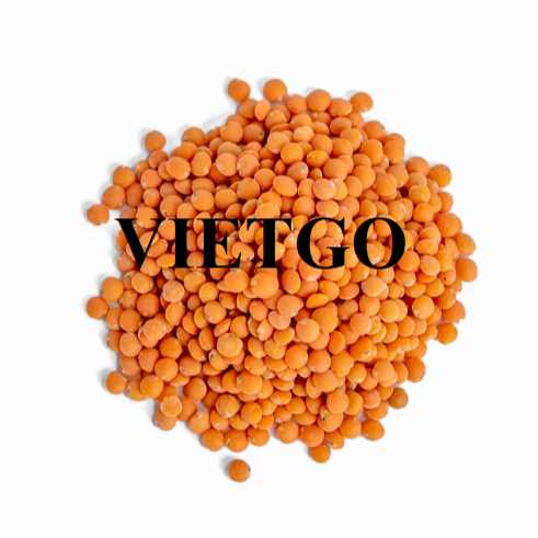 Cơ hội xuất khẩu đậu lăng đỏ sang thị trường Bulgaria