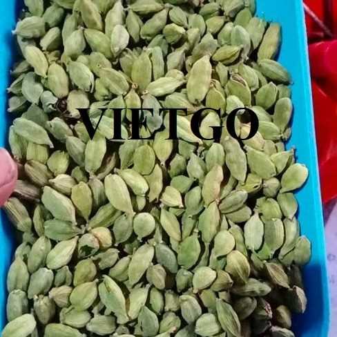 Cơ hội xuất khẩu thảo quả xanh cùng vị khách hàng người Ấn Độ