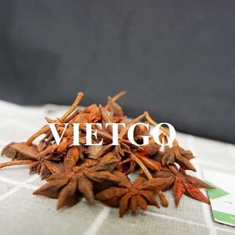 Cơ hội hợp tác xuất khẩu hoa hồi sang thị trường Ấn Độ