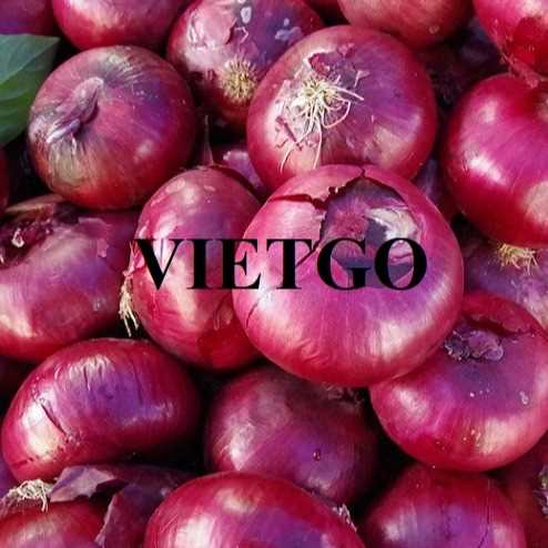 Cơ hội hợp tác xuất khẩu hành đến thị trường Sri Lanka