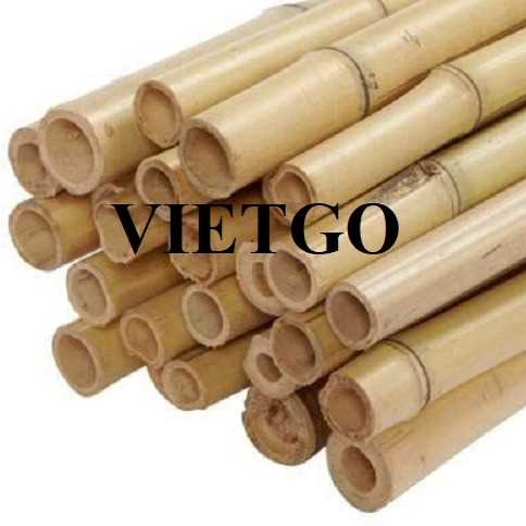 Đơn hàng xuất khẩu gậy tre sang thị trường Mỹ