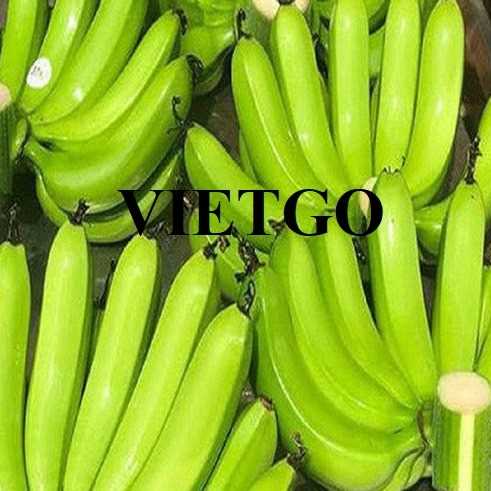 Cơ hội hợp tác xuất khẩu chuối đến thị trường Iraq