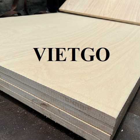 Thương vụ xuất khẩu sản phẩm ván ép hàng hải đến thị trường Ấn Độ