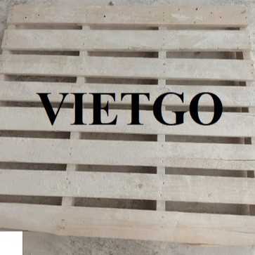 (Gấp)Thương vụ xuất khẩu pallet gỗ đến thị trường Ai Cập 
