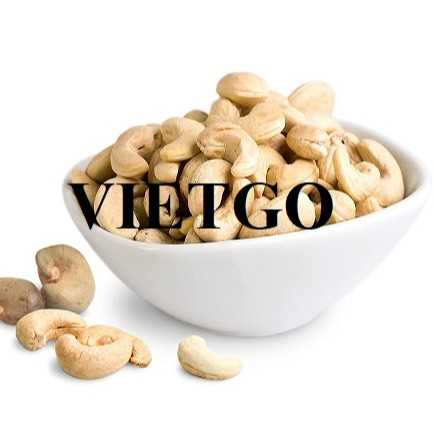 Thương vụ hợp tác xuất hạt điều W320 sang thị trường Ấn Độ