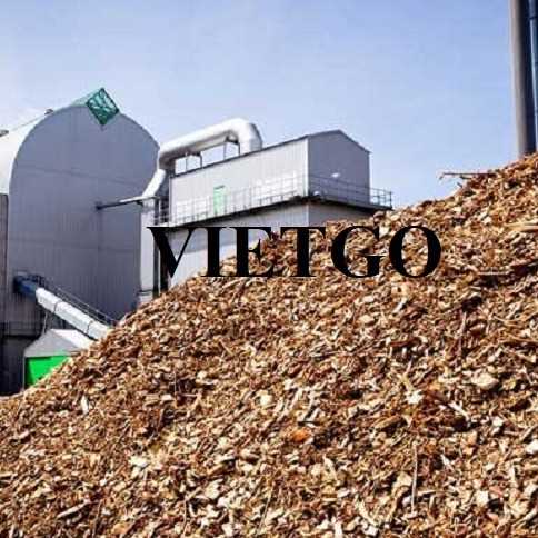 Thương vụ xuất khẩu gỗ vụn đến thị trường Trung Quốc