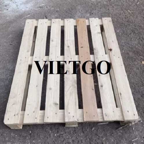 Cơ hội hợp tác xuất khẩu pallet tới thị trường Ả Rập