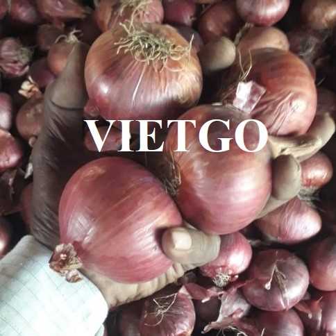 Cơ hội hợp tác xuất khẩu hành sang thị trường Ấn Độ