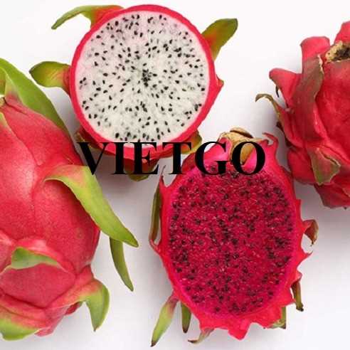 Cơ hội hợp tác xuất khẩu thanh long đến thị trường Nga