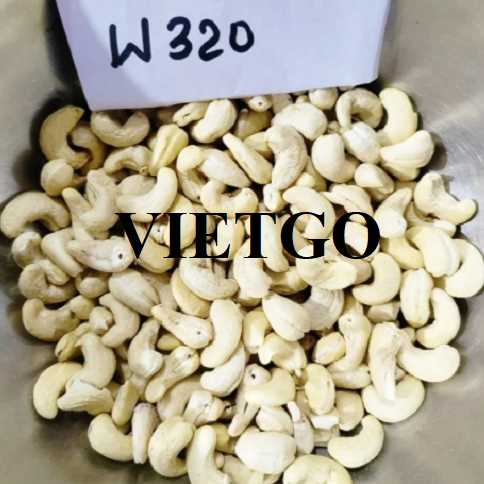 Cơ hội hợp tác xuất khẩu hạt điều đến thị trường Ấn Độ    