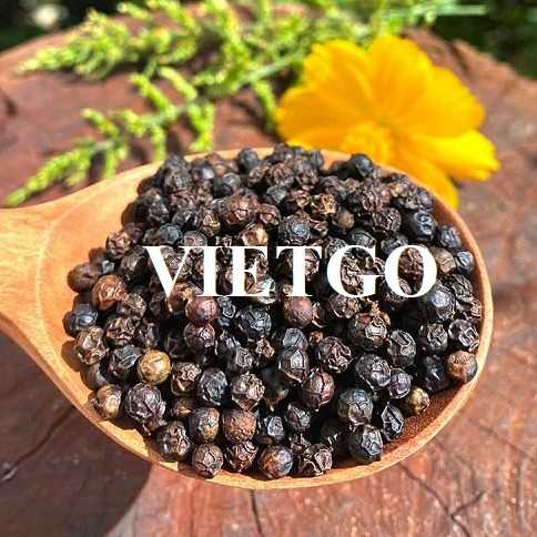 Cơ hội xuất khẩu hạt tiêu đen sang thị trường Bangladesh và Pakistan