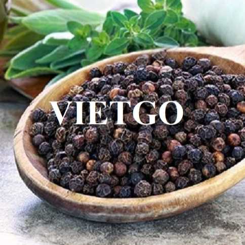 Thương vụ hợp tác xuất khẩu hạt tiêu sang thị trường Pakistan