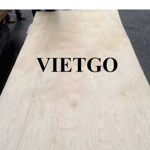 Cơ hội hợp tác xuất khẩu ván bóc cao su sang thị trường Ai Cập và Tây Ban Nha