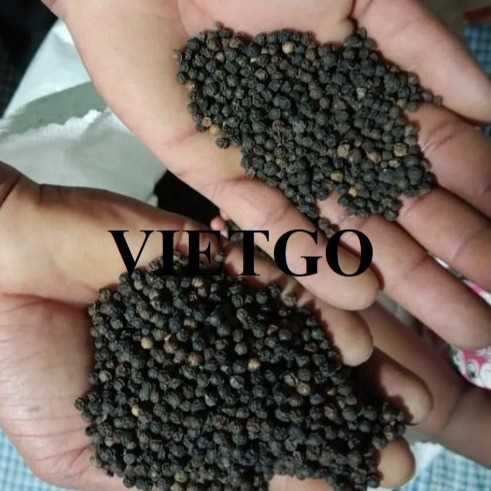 Cơ hội xuất khẩu hạt tiêu đen sang thị trường UAE