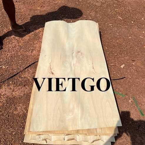 Thương vụ xuất khẩu ván bóc cao su sang thị trường Ấn Độ