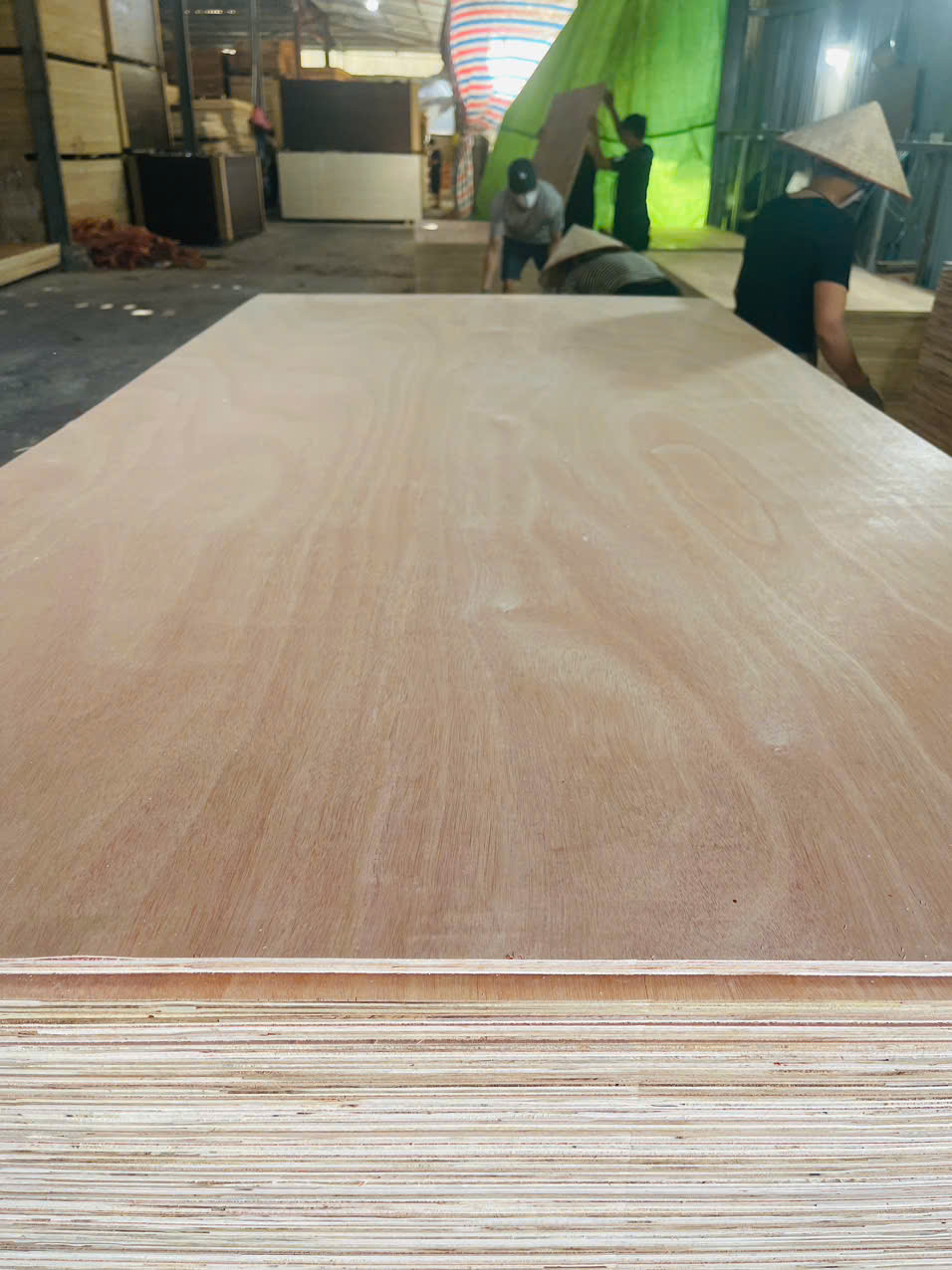 TÌM VẬN TẢI CHUYÊN VÁN ÉP SANG ẤN ĐỘ