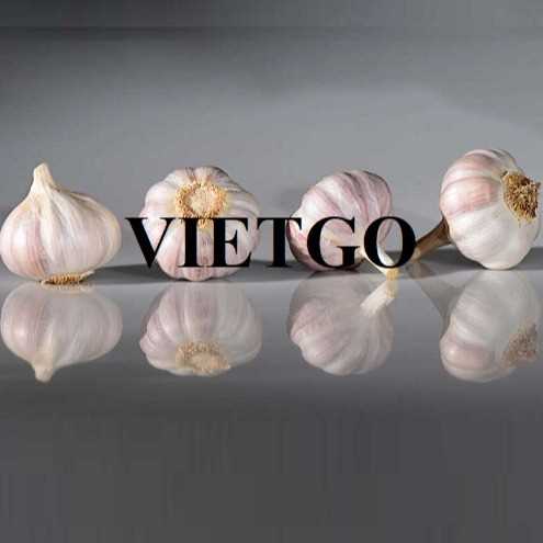 Cơ hội hợp tác xuất khẩu tỏi đến thị trường Sri Lanka 