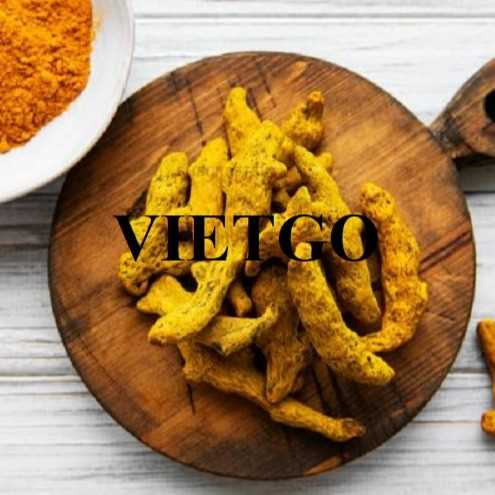 Cơ hội hợp tác xuất khẩu nghệ khô nguyên củ sang thị trường Ấn Độ