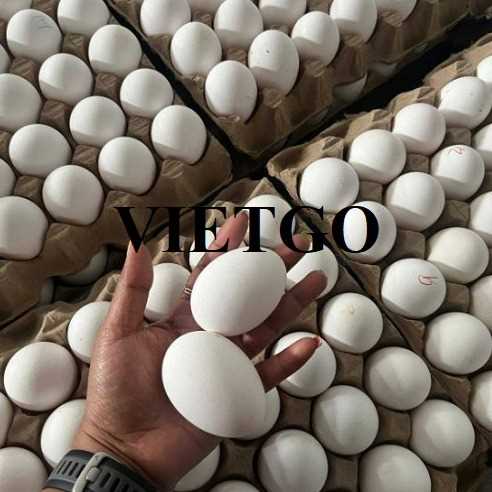 Cơ hội hợp tác xuất khẩu trứng trắng đến thị trường Iran
