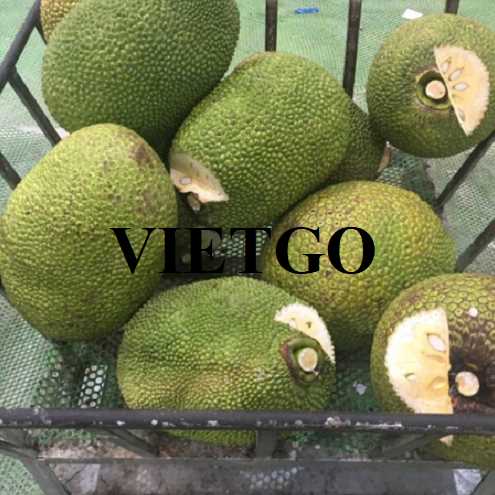 Cơ hội hợp tác xuất khẩu mít đến thị trường Ý 