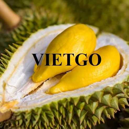 Cơ hội hợp tác xuất khẩu sầu riêng đến thị trường Ý 