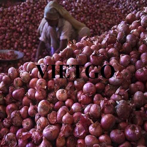 Cơ hội hợp tác xuất khẩu hành tím sang thị trường Ấn Độ